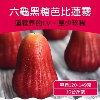 【農頭家】六龜LV級黑糖芭比蓮霧禮盒(中果/10台斤)