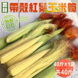 【禾鴻】新鮮自然帶殼紅鬚玉米筍40斤x1袋(常溫配送)