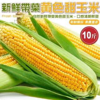 【果農直配】新鮮帶葉黃色甜玉米(10斤/箱)