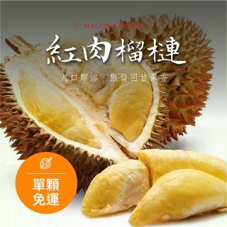 馬來西亞-紅肉榴槤 帶殼液態氮冷凍D101 單顆(水產優、紅肉榴槤、榴槤、帶殼榴槤)