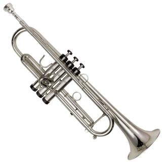 【P. Mauriat】PMT-71演奏級小號-演奏級/鍍銀表面/原廠公司貨/附高級小號箱(PMT-71演奏級小號 鍍銀表面)