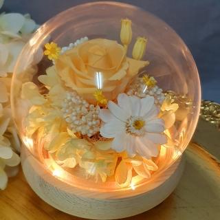 【奧斯塔拉花藝】永恆思念百日草-白色(永生花、乾燥花、百日草、百日菊)