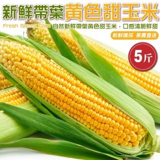 【果農直配】新鮮帶葉黃色甜玉米(5斤/箱)