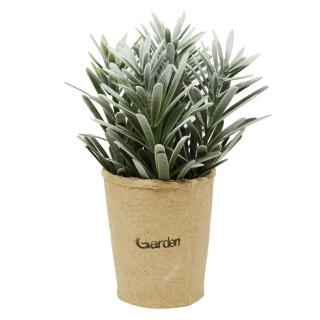 【YU Living 信歐傢居】迷你仿真小清新綠色植物裝飾盆栽二件組(二件一組/芙蓉菊/綠色)