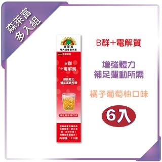 【SUNLIFE】B群+電解質發泡錠(橘子葡萄柚口味 x 6入組)