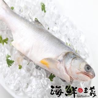 【海鮮主義】肉質鮮嫩午仔魚5包(250g±10%/包)