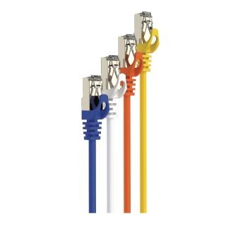 【POLYWELL】CAT6A 高速乙太網路線 S/FTP 10Gbps 30公分(適合2.5G/5G/10G網卡 網路交換器 NAS伺服器)