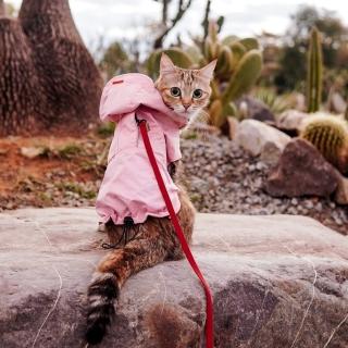 【CAMPET】SPACE α 全境快穿衝鋒衣-櫻花粉-S~L(寵物全防水風雨衣)