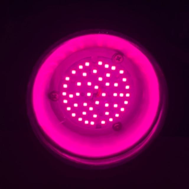 【JIUNPEY 君沛】植物燈 15瓦 紅藍混光燈泡 E27植物燈泡(多肉植物燈 觀葉植物燈 塊根植物燈)