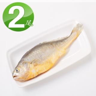 【華得水產】鮮嫩黃魚2尾組(220g/尾)