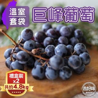 【吉好味-中秋禮盒】溫室套袋巨峰葡萄禮盒2盒一組(2.4kg*2-G002)