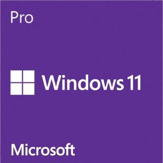 【加購含安裝】Windows 11 專業隨機版(64bit-中文版)