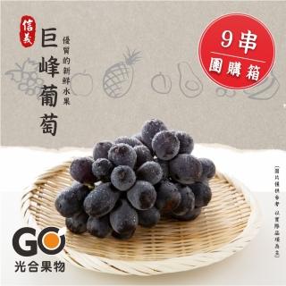 【光合果物-中秋禮盒】南投信義巨峰葡萄 9串團購箱(9串/箱)
