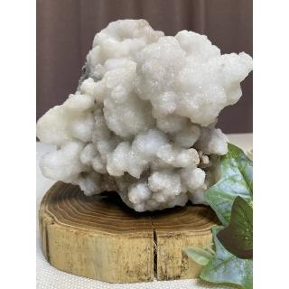 【Cocozy世界水晶原礦】水晶雪霜晶花 次槐木座(防小人 增強磁場)