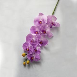 【花意空間】赤紫蝴蝶蘭仿真花長支 3支一組(永生花 人造花 假花)