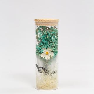 【Flower Plus】海洋魔鏡 永生花玻璃罩(永生花乾燥花)