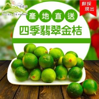 【小農夫】台南新鮮四季翡翠金桔3盒(600g/盒)