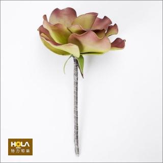 【HOLA】Flora 芙蘿拉花插 水芙蓉 紫綠