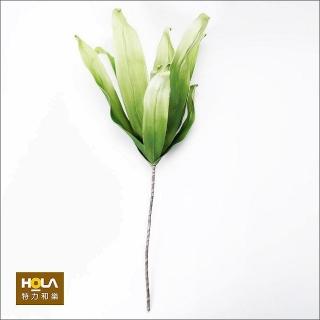 【HOLA】Flora 芙蘿拉花插 一葉蘭 深綠