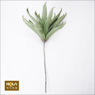 【HOLA】Flora 芙蘿拉花插 蘆薈 深綠