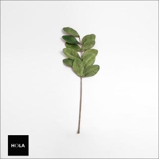 【HOLA】Flora芙蘿拉花插 圓闊葉 綠
