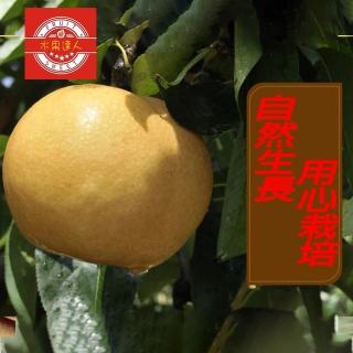 【MOMO獨家 水果達人-中秋禮盒】苗栗卓蘭巨無霸爆汁高接梨禮盒5-8顆*1箱(7.5斤±10%/箱)