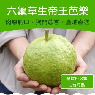 【農頭家】六龜草生帝王芭樂5斤裝(單盒6-8顆)