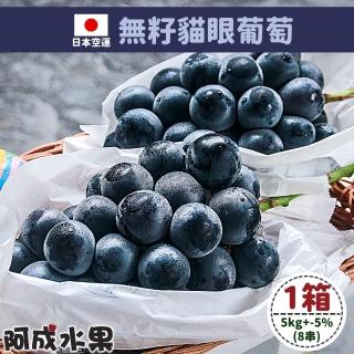 【阿成水果-中秋禮盒】日本空運無籽貓眼葡萄8串(5kg/箱)