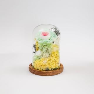 【Flower Plus】扶搖直上｜永生花玻璃罩(永生花乾燥花)