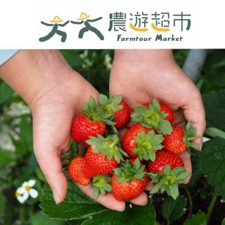 【台北】大崙頭草莓園(草莓園半日遊)