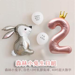 【野思】2歲生日 森林小兔生日組(慶生)