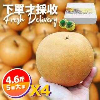 【下單才採最新鮮-中秋禮盒】卓蘭秀品新興水梨大果4.6斤5顆入X4(黃金時間採收 風味更獨特)