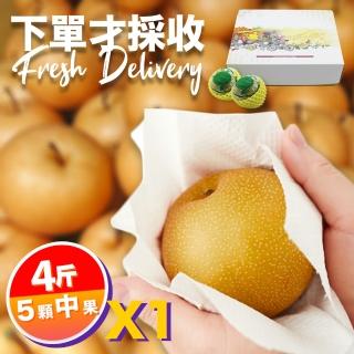 【下單才採最新鮮-中秋禮盒】卓蘭秀品新興水梨中果4斤5顆入(黃金時間採收 風味更獨特)
