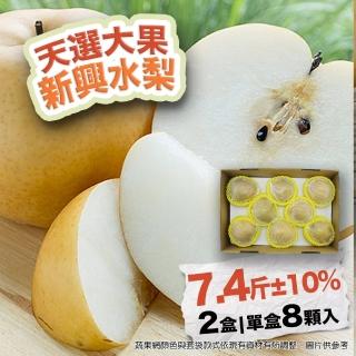 【農村梨小農-中秋禮盒】日本種新興水梨大果7.4斤8顆2盒(優選十大小農 水梨界黑馬)