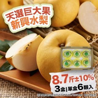 【農村梨小農-中秋禮盒】日本種新興水梨巨無霸8.7斤6顆3盒(優選十大小農 水梨界黑馬)
