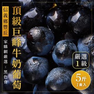 【家購網嚴選-中秋禮盒】黑色會 信義豐丘頂級巨峰牛奶葡萄(5斤x4盒)