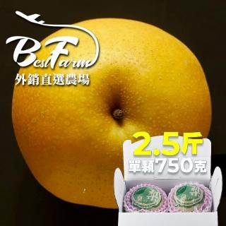 【果樹寶石-中秋禮盒】卓蘭最高鑑賞新興水梨一箱2.5斤2顆入(外銷指定農場 媲美日本水梨)