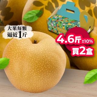 【堅持採收後24小時出貨-中秋禮盒】高海拔大顆新興水梨4.6斤5顆｜兩盒組(堅持採收後24小時出貨)