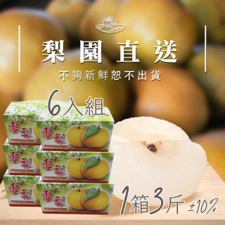 【梨園直送-中秋禮盒】職人栽培寶島霸王級新興水梨單箱3斤2顆裝共六箱(不夠新鮮不出貨)