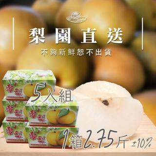 【梨園直送-中秋禮盒】職人栽培寶島天王級新興水梨1箱2.75斤2顆裝共五箱(不夠新鮮不出貨)