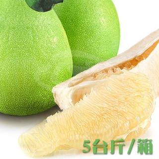 【預購-港尾果園-中秋禮盒】34年老欉正麻豆文旦禮盒5台斤