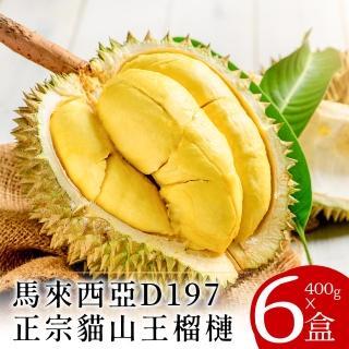 【貓小胖】現貨-D197馬來西亞貓山王榴槤4盒(400g/盒；已去殼取果肉)