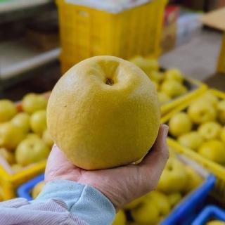 【黑貓嚴選】梨山福慧果園-新世紀水梨18粒(4.2-4.5kg±5%/盒)