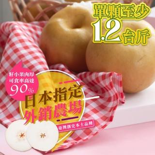 【果樹寶石】卓蘭最高鑑賞寶島甘露水梨大果三箱 單箱至少2.5斤2顆入(外銷指定農場 巨脆雪藏甘甜)