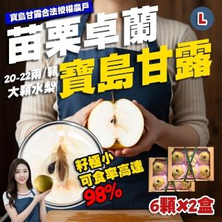 【果樹寶石】卓蘭最高鑑賞寶島甘露水梨特大果兩箱 單箱至少8.25斤6顆入(外銷指定農場 巨脆雪藏甘甜)