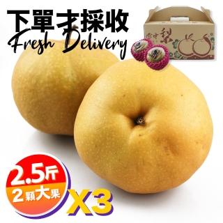 【下單才採最新鮮】卓蘭秀品寶島甘露大顆水梨2.5斤2顆入X3(黃金時間採收 風味更獨特)