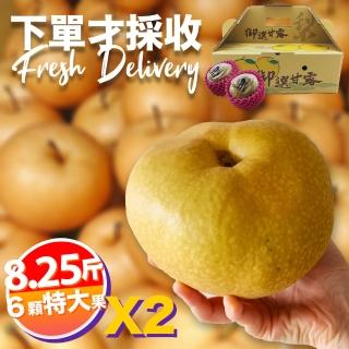 【下單才採最新鮮】卓蘭秀品寶島甘露特大顆水梨8.25斤6顆入X2(黃金時間採收 風味更獨特)