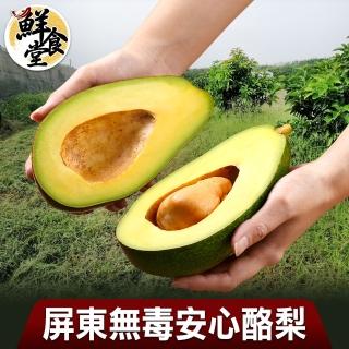 【鮮食堂】屏東無毒安心酪梨2箱(4台斤±5%/箱/約5-7顆裝)