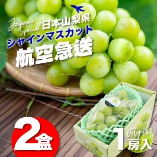 【果樹寶石】日本山梨縣相撲級麝香葡萄1大房禮盒X2(航空急送 富士山北側御選果園)