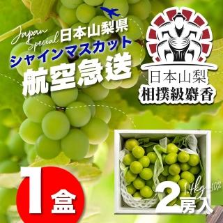 【果樹寶石】日本山梨縣相撲級麝香葡萄2大房禮盒(航空急送 富士山北側御選果園)